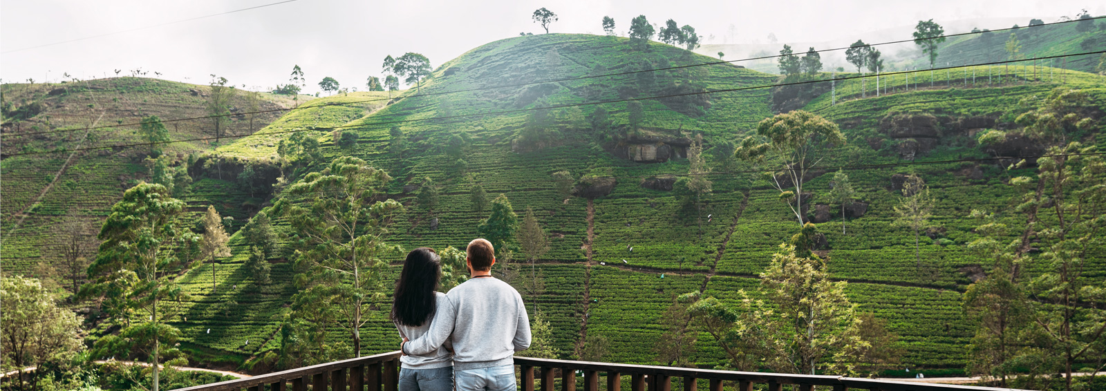 Romantic Honeymoon Tours in Sri Lanka 6